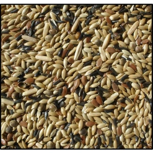 Badem Akvaryum Karışık Kanarya Yemi 1 kg Açık