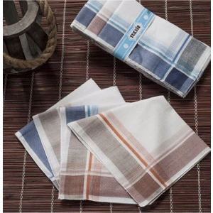 Gözde Teksin 36X36 cm 12 Adet Kumaş Mendil Tm 03