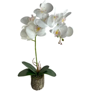 Yapay Çiçek Kütük Saksılı Tekdal Islak Orkide Beyaz 50*30CM