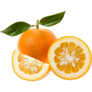 Sebze Meyve Dünyası Turunç 1 kg