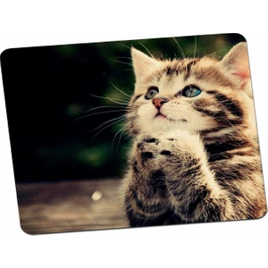 Panorama Ajans Tatlı Yavru Kedi Severlere Özel Hediye Mouse Pad