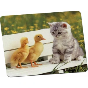 Panorama Ajans Tatlı Yavru Ördek ve Kedi Veteriner Hediye Mouse Pad