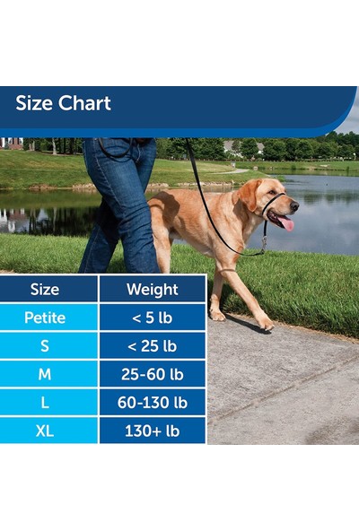 Pet Safe Easy Walk Headcollar Köpek Kafalıklı Tasma Kırmızı Medium (11.4 Kg.-27.2 Kg.)