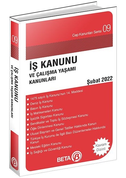 Iş Kanunu ve Çalışma Yaşamı Kanunları - Celal Ülgen