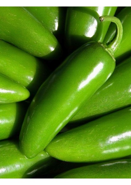 Barut F1 (Hibrit) Jalapeno Biber Tohumu (20 Adet)