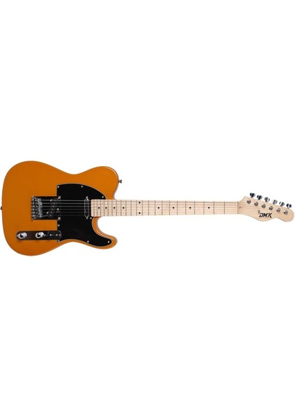 Telecaster Tl-Yw Elektro Gitar (Taşıma Çantası ) fiyatları