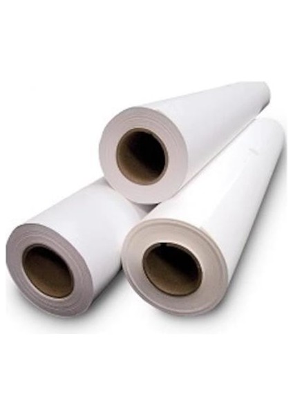 Bılgıtas Plotter Kagıdı 75X100MT 80GR