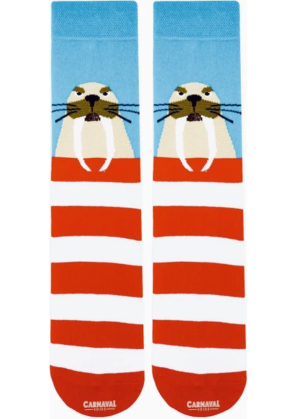 Carnaval Socks Mors Desenli Renkli Çorap