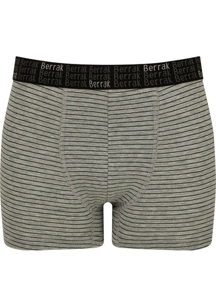 Gri Çizgili Boxer (4475)