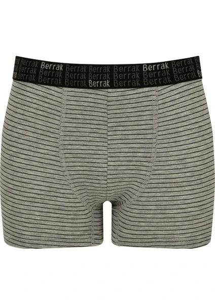 Gri Çizgili Boxer (4475)