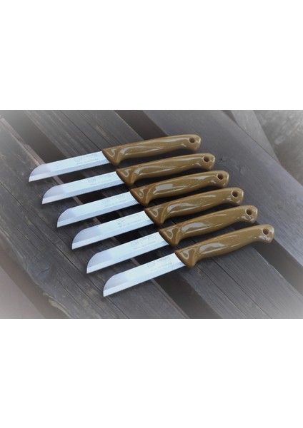 Meyve Sebze Bıçağı 6 Adet Simli Desen Sapı Delikli (1.kalite,tırtıklı)