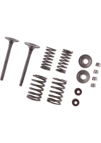 Yeni Emme Egzoz Bahar Vana Rebuild Kit Conta Fit 110CC Atv Pit Bisikleti (Yurt Dışından) indirimleri
