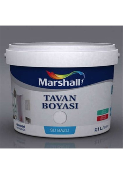 Tavan Boyası Küçük