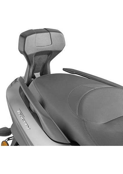 TB2149 Yamaha Tricity 300 (20-21) X-Max 125-250-300 (17-21) Sissybar