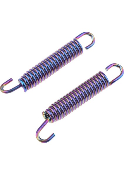 2 Adet 65MM Motosiklet Paslanmaz Çelik Egzoz Borusu Susturucu Bahar Kanca Mor (Yurt Dışından)