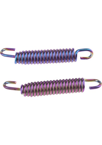 2 Adet 65MM Motosiklet Paslanmaz Çelik Egzoz Borusu Susturucu Bahar Kanca Mor (Yurt Dışından)