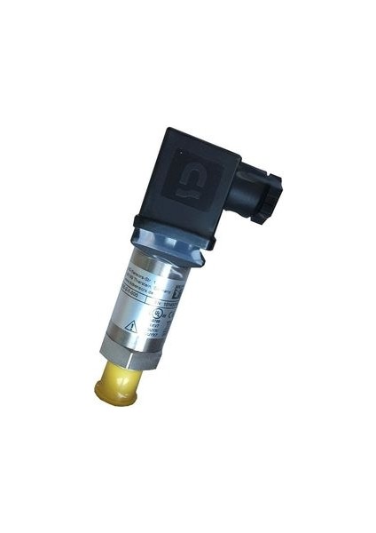 Oem Basınç Transmitter 30.600G-1002-R-1-8-100-300-2-1-000