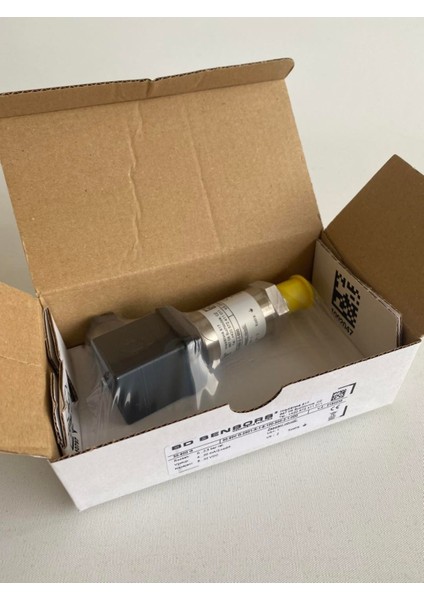 Oem Basınç Transmitter 30.600G-2501-R-1-8-100-300-2-1-000