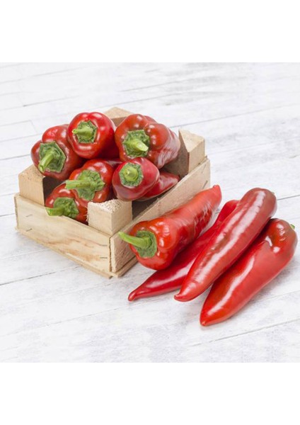 Kapya Yağlık 28 (Salçalık) Biber Tohumu fiyatları