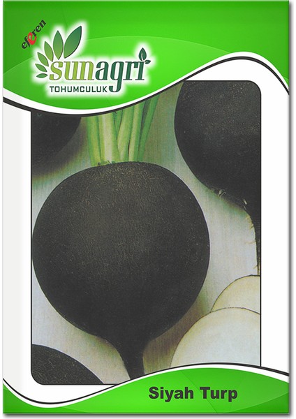 Siyah Turp Tohumu