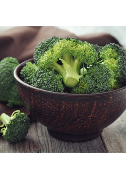 Brokoli Tohumu fiyatları