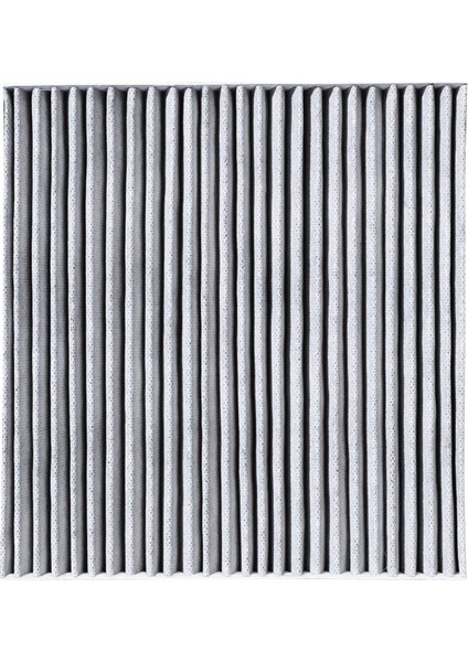 Fıat Ducato 2007 | 2006 > … 3.0 Jtd 180 Multijet Power Karbonlu Polen Filtresi fiyatları