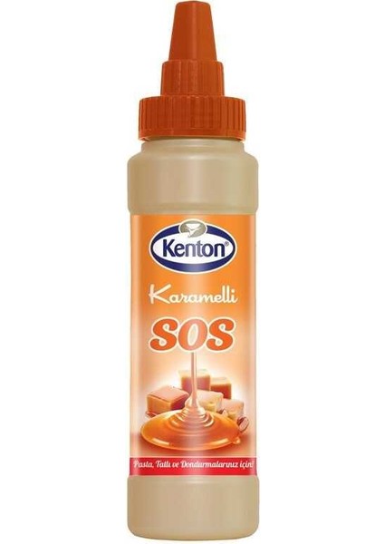 Sıvı Sos Karamelli 325 gr