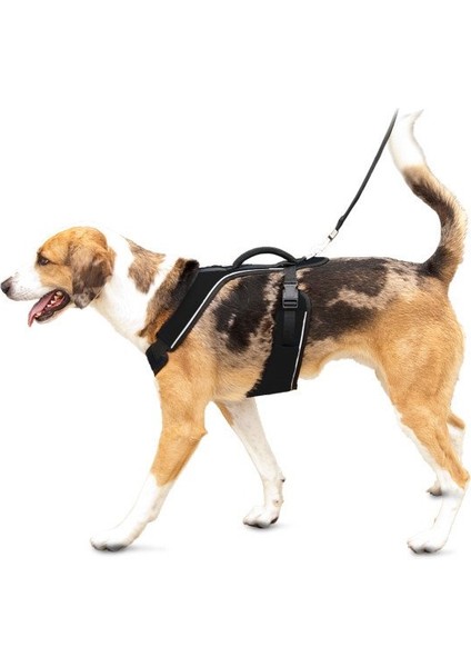 Easy Sport™ Harness - Large Siyah Köpek Tasması