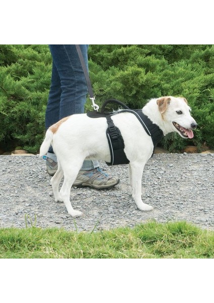 Easy Sport™ Harness - Large Siyah Köpek Tasması