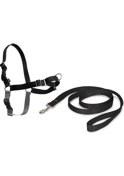 ™ Harness - Small Siyah Köpek Tasması