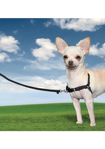 ™ Harness - Small Siyah Köpek Tasması