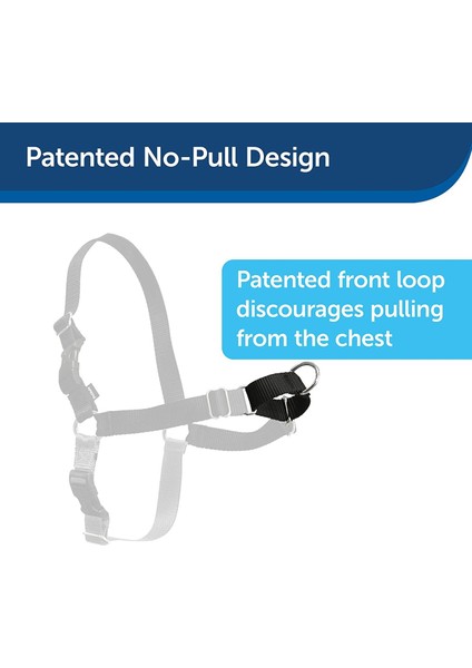 ™ Harness - Small Siyah Köpek Tasması