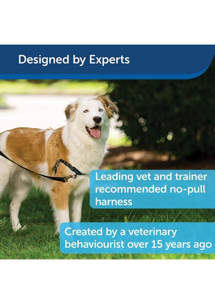 ™ Harness - Small Siyah Köpek Tasması