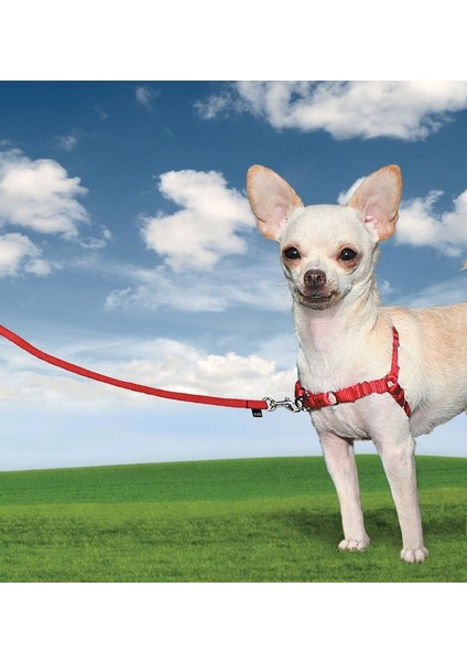 Harness Köpek Göğüs Tasması Small