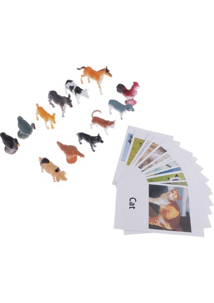 Montessori Böcekler Şekil Hayvan Maç Seti (12 Adet) -Poultry Eşleştirme Yapboz (Yurt Dışından)