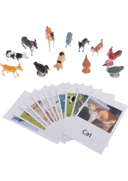 Montessori Böcekler Şekil Hayvan Maç Seti (12 Adet) -Poultry Eşleştirme Yapboz (Yurt Dışından)