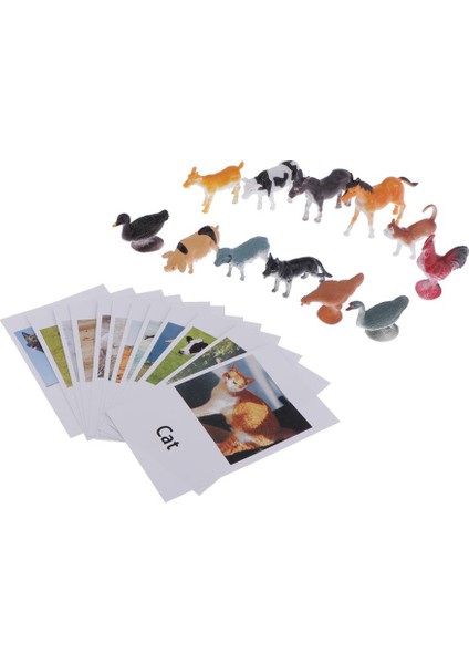 Montessori Böcekler Şekil Hayvan Maç Seti (12 Adet) -Poultry Eşleştirme Yapboz (Yurt Dışından)