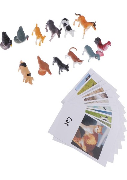 Montessori Böcekler Şekil Hayvan Maç Seti (12 Adet) -Poultry Eşleştirme Yapboz (Yurt Dışından)