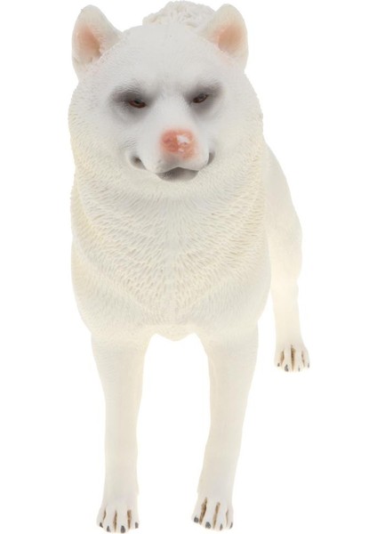 Plastik Hayvan Şekil Bull Terrier Bully Pitbull Shiba Inu Köpek Modeli Playset Oyuncak (Yurt Dışından) modelleri