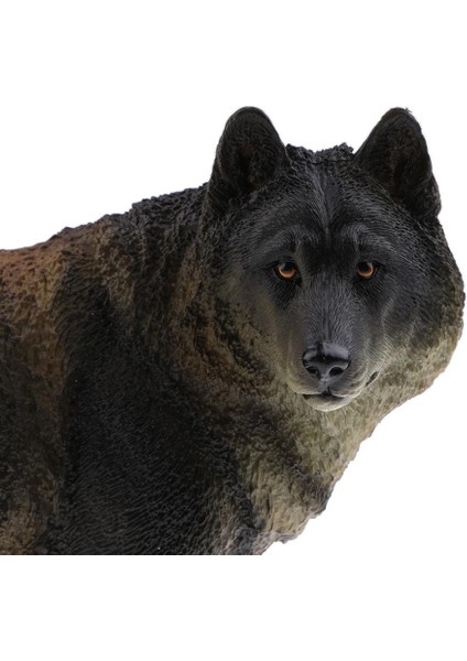 Vahşi Yaban Hayatı Hayvan Modeli Siyah Kurt Heykelcik Rakamlar Çocuklar Eğitici Oyuncaklar (Yurt Dışından) modelleri