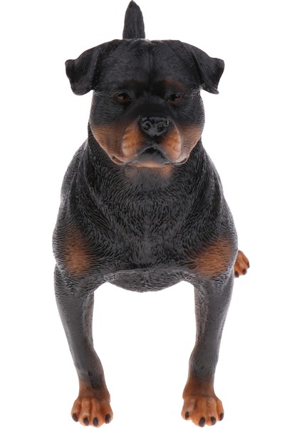 Gerçekçi Hayvan Modeli Şekil Heykelcik Bilimi Doğa Oyuncakları Rottweiler B (Yurt Dışından)