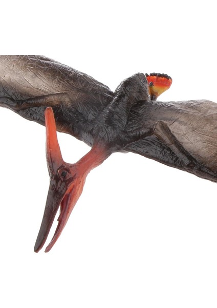 Gerçekçi Kretase Pteranodon Model Oyuncak Action Figure Tahsil Dekor(Yurt Dışından)