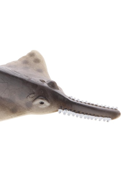 Gerçekçi Deniz Yaratığı Sawfish Model Action Figure Dekoratif Koleksiyon (Yurt Dışından)