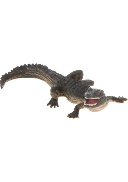 Gerçekçi Sürüngen Timsah Modeli Action Figure Süs Collectibles - S (Yurt Dışından)