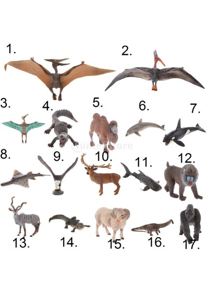 Gerçekçi Kretase Pterodactylus Model Action Figure Çocuk Oyuncak Tahsil (Yurt Dışından)