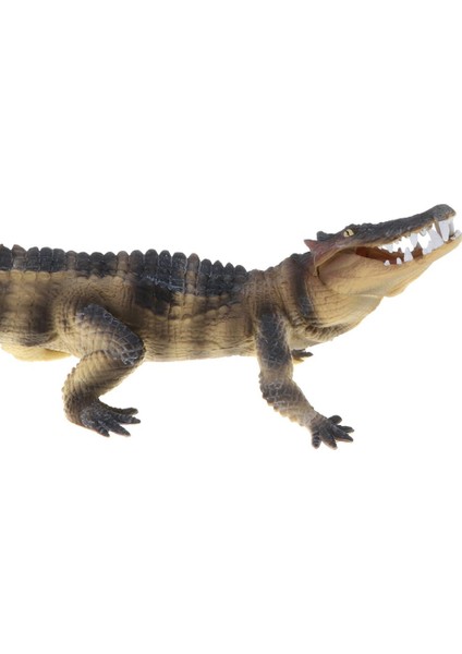 Plastik Boarcroc Timsah Hayvan Action Figure Çocuklar Için Oyuncak Parti Iyileri