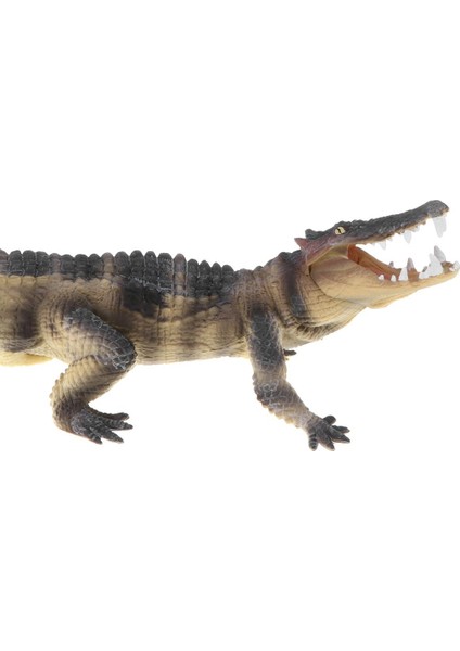 Plastik Boarcroc Timsah Hayvan Action Figure Çocuklar Için Oyuncak Parti Iyileri
