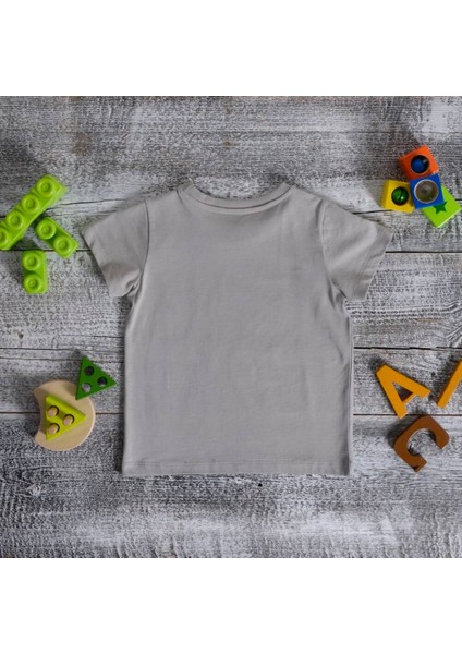 Organik Erkek Çocuk Kısa Kollu TShirt Cool Grey fırsatları
