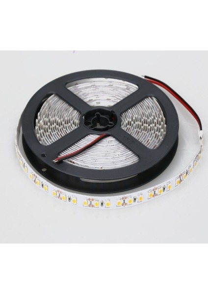 Şerit LED 10 Çipli Gün Işığı Işık 5mt CT-4481