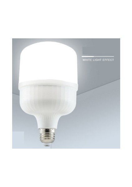 Ultra Yüksek Işıklı 50W Torch Yuvarlak Büyük Ampul 2 Adet